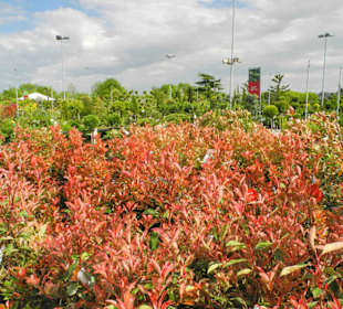 Auch im Freigehege ein riesige Auswahl