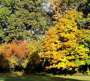 Herbstspaziergang durch den Schlosspark