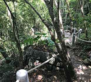 Weg zum Aussichtspunkt