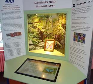 Rundgang durch die Stationen der Phänomenta