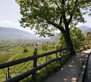 Meraner Waalrunde, Marling