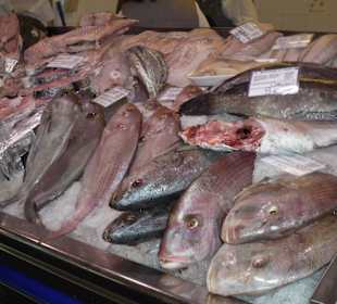 Fischstand Mercato de Vegueta