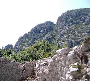 Olympos