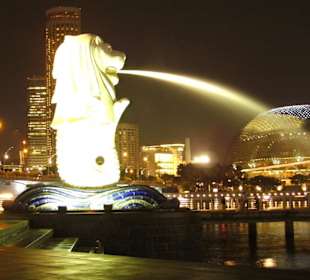 Merlion bei Nacht