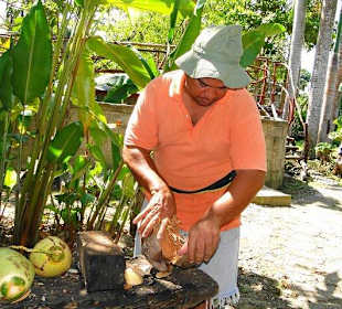 Rudy und die Kokosnüsse