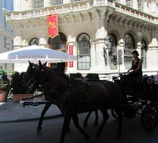 Außenansicht im Sommer