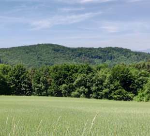 Blickrichtung Weißjakl ( 576 m )