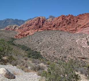 Red Rock Canyon