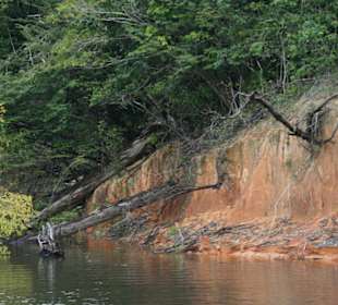 Odnoga Rio Negro
