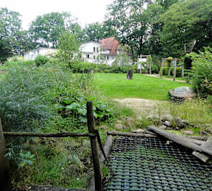 Impressionen aus dem Sinnesgarten Lopshof