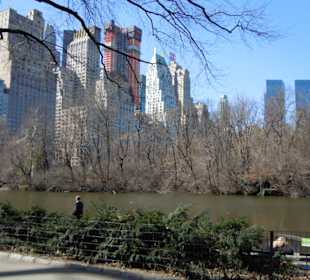        Central Park , NYC