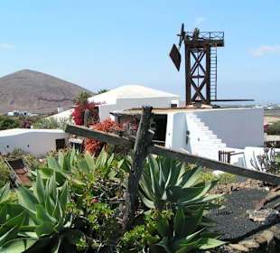 Lanzarote - Jardín de Cactus