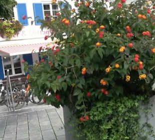 Stadtrundgang Tettnang