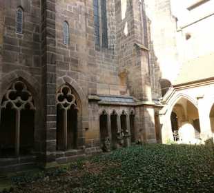 Dom Garten.