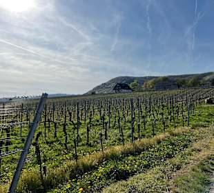 Wandern Ellenz-Poltersdorf