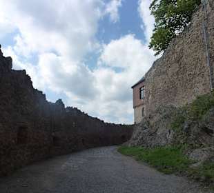 Burg Falkenstein
