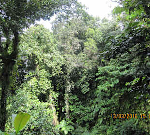 Schon beeindruckend für eine kleine Insel