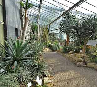 Die Tropengewächshäuser in "Planten un Blomen"