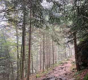 Wandern Drachselsried