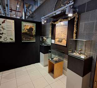 Geoskop in Thallichtenberg