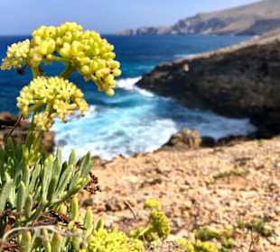 MTB-Touren mit Traumaussichten