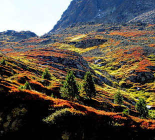 Farbenpracht im Herbst