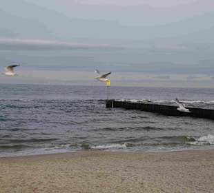 Strand Kolberg/Kolobrzeg