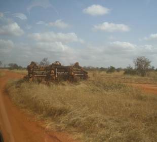 Tsavo Ost