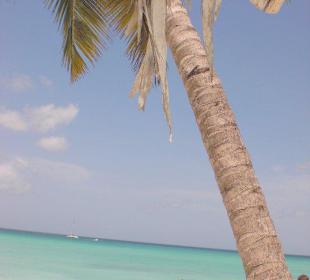 Strand Ausflug nach Saona