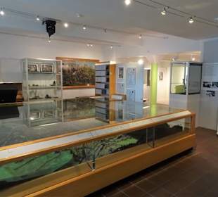 Exponate des Spielzeug- und Stadtmuseums