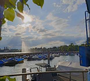 Hafen Friedrichshafen