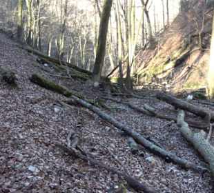 Eppenzillfelsen