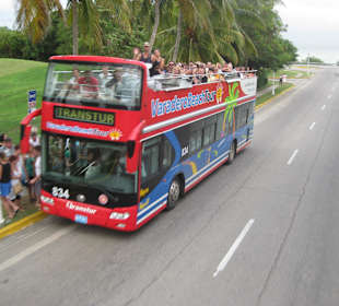 Hop on - Hop Off Bus