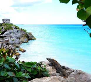 Ausflug Tulum Maya Ruine, kein Fake