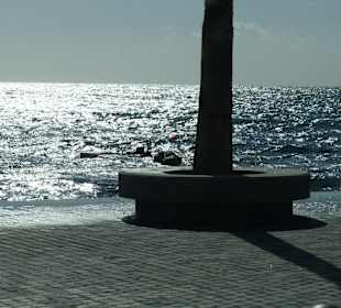 Ausflug zum Hafen in Pafos