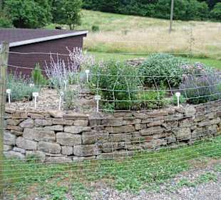 Kräutergarten am Eingang