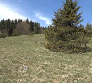Premiumspazierwanderweg - Hochgehhütet