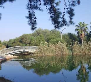 Wandern Side - Titreyengöl