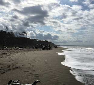 Strand Marina di Cecina