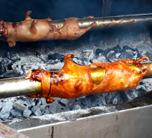 Cuy - Meerschweinchen