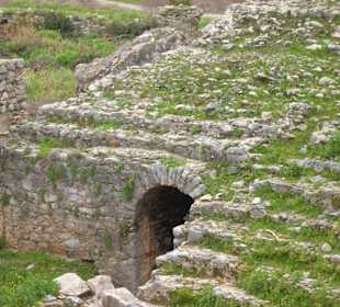 Anemurium