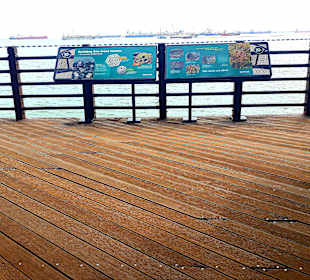 Ausblick Aussichtsturm