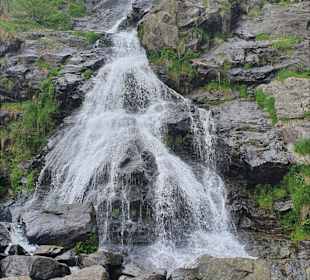 Wandern Todtnauberg
