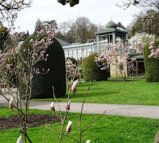 Wilhelma Stuttgart