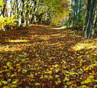 Gute Wanderwege Fränkische