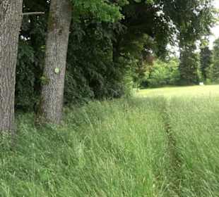 Premiumwanderweg "hochgehackert"