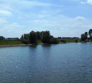 Grietherorter Altrhein