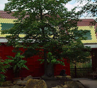 Tempelanlage bei den Elefanten