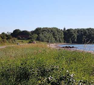 Promenade Sandstrand Drei