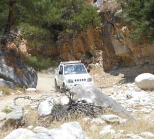 Über Stock und über Stein